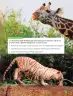 Miniatura página 51 de Libro de Ciencias Naturales – Quinto Básico | Texto del Estudiante MINEDUC – Descargar PDF · 2024