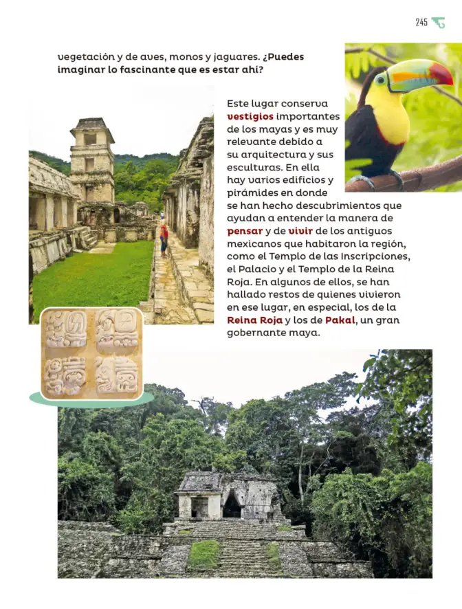 Página 246 de Múltiples lenguajes. Libro de Educación Primaria Grado 5° Ciclo Escolar 2025 - 2026