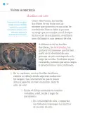 Miniatura página 135 de Proyectos de Aula.   Libro de Educación Primaria Grado 1°  Ciclo Escolar 2025 - 2026