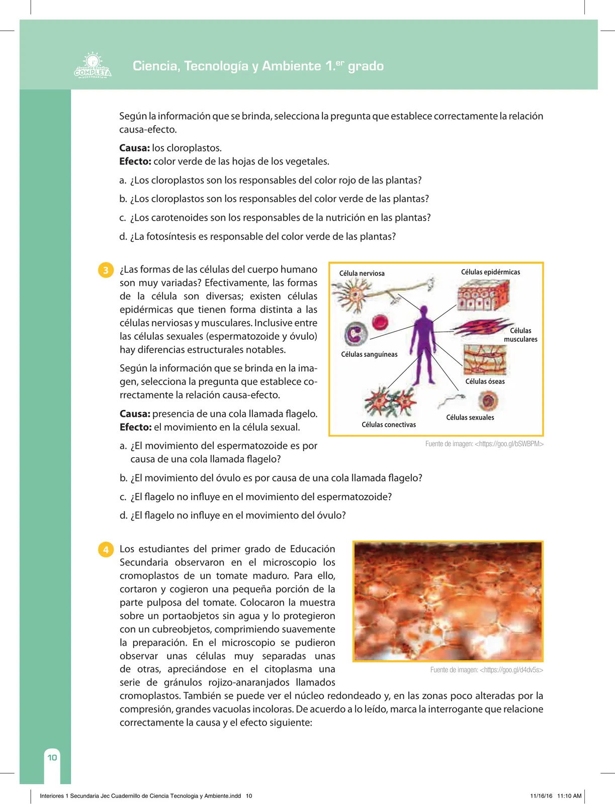 Miniatura página 10 de Ciencia, Tecnología y Ambiente 1. Cuaderno de reforzamiento pedagógico - JEC · 2016