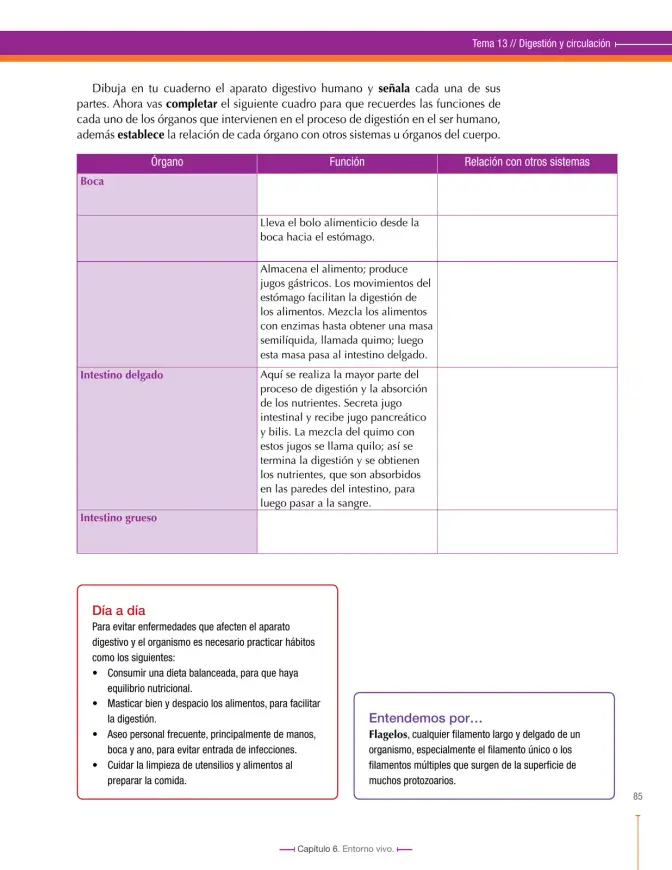 Página 85 de Ciencias Naturales 7° · Secundaria Activa