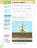Miniatura página 11 de Ciencias Naturales 7° · 2025