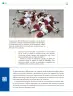 Miniatura página 239 de Colección Nanahuatzin. De lo humano y lo comunitario.   Libro de Educación Telesecundaria Grado 3°  Ciclo Escolar 2025 - 2026