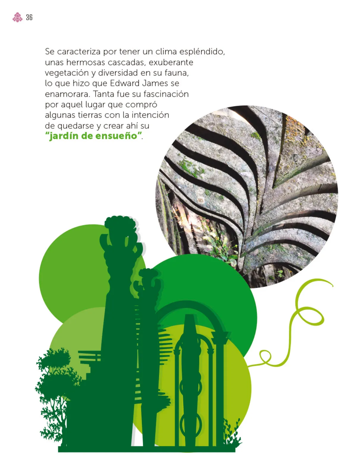 Miniatura página 37 de Múltiples lenguajes.   Libro de Educación Primaria Grado 4°  Ciclo Escolar 2025 - 2026