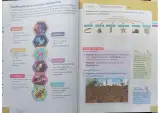 Miniatura página 18 de Ciencias Naturales 3° · Egb 3 Ciencias Naturales 2024 · 2024