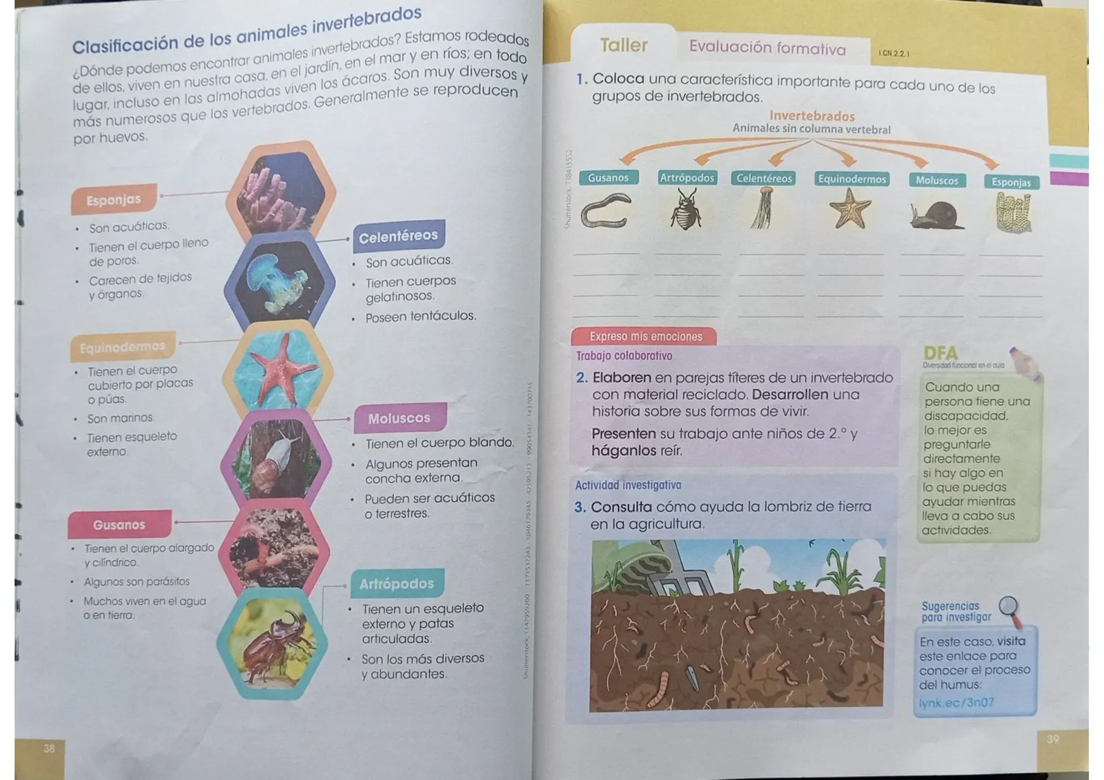 Miniatura página 18 de Ciencias Naturales · 3 EGB · 2024