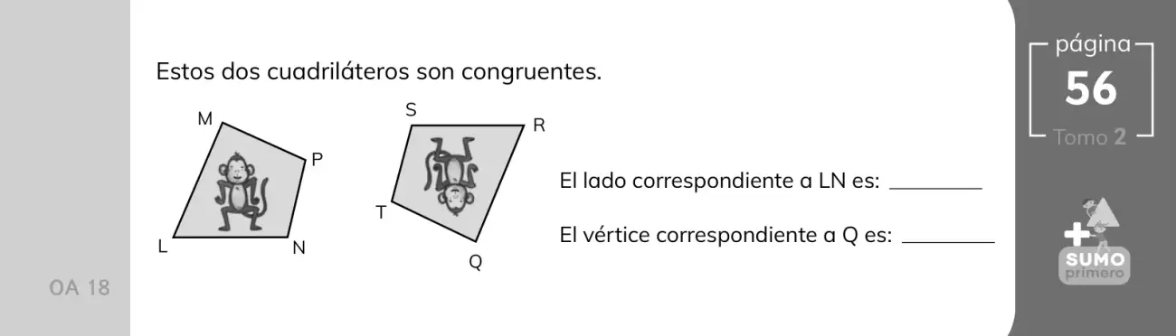 Página 119