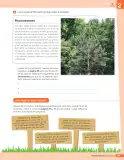 Miniatura página 228 de Libro de Ciencias Naturales – Quinto Básico | Texto del Estudiante MINEDUC – Descargar PDF · 2024