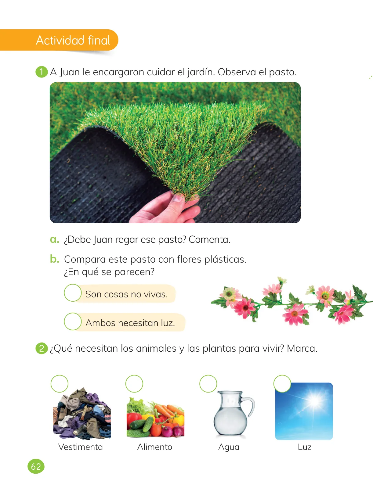 Página 64 de Ciencias Naturales – Primero Básico | Texto del Estudiante (MINEDUC) – Descargar PDF · 2024