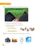 Miniatura página 64 de Ciencias Naturales – Primero Básico | Texto del Estudiante (MINEDUC) – Descargar PDF · 2024