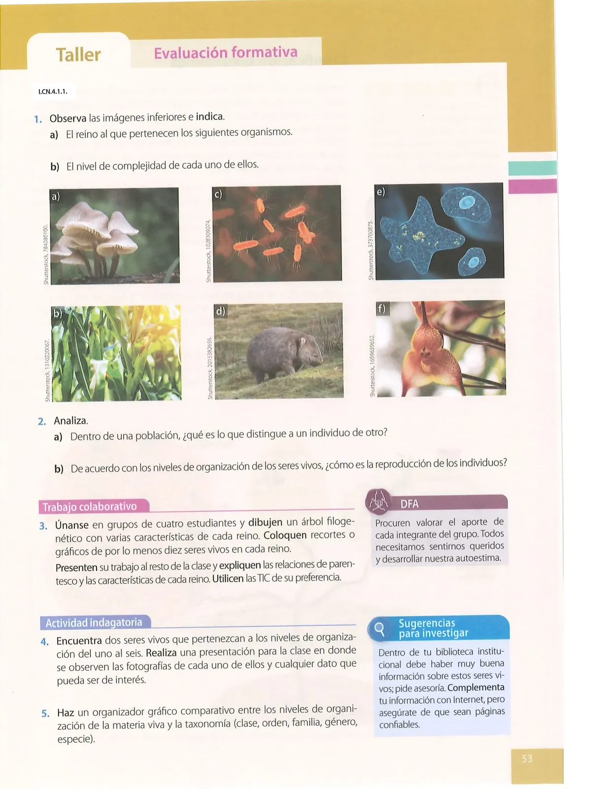 Miniatura página 52 de Ciencias Naturales · 8 EGB · 2025