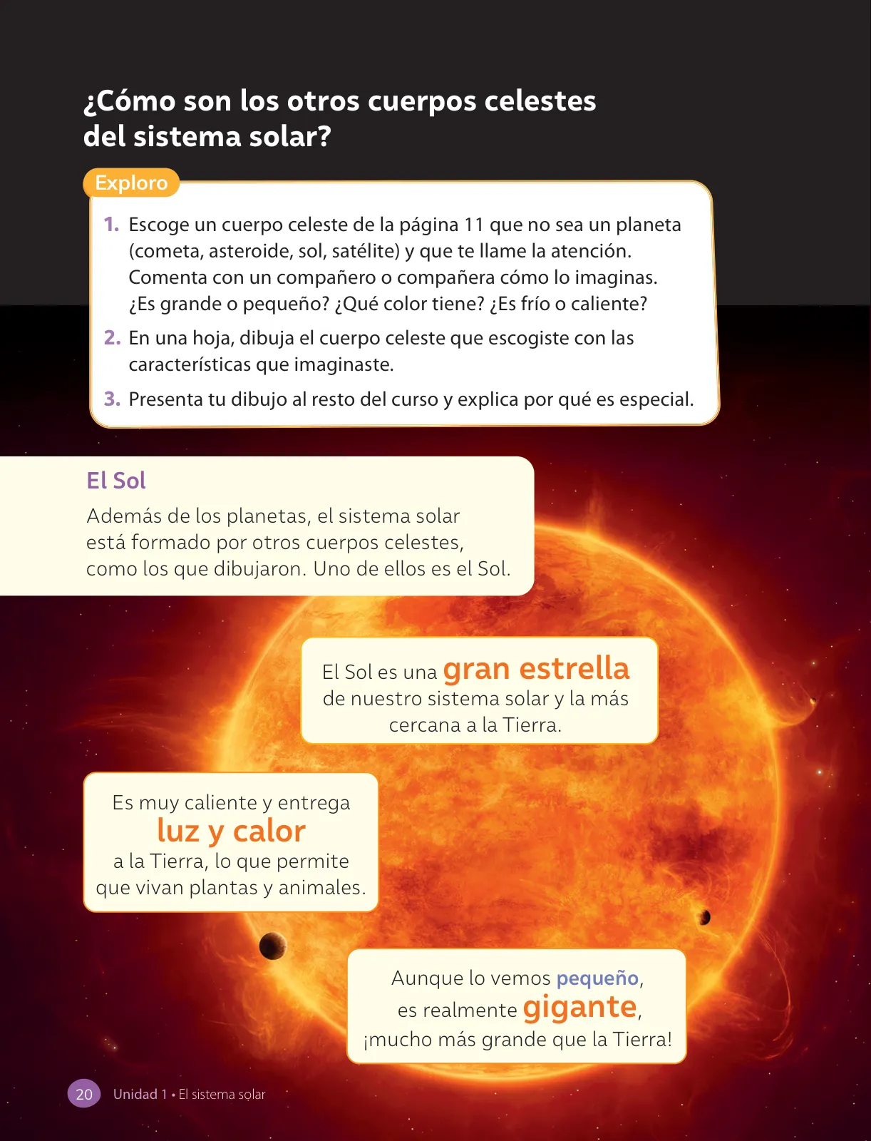 Miniatura página 22 de Ciencias Naturales – Tercero Básico | Texto del Estudiante MINEDUC – Descargar PDF · 2024