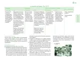 Miniatura página 40 de Posibilidades de trabajo para la acción transformadora y el codiseño. Ficheros. Fase 2  Libro de Educación Preescolar Grado 1°, 2°, 3°  Ciclo Escolar 2025 - 2026