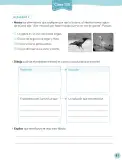 Miniatura página 82 de Lenguaje y Comunicación – Cuarto Básico | Texto del Estudiante MINEDUC – Descargar PDF · 2024
