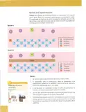 Miniatura página 22 de Lengua Y Literatura 10° · Egb 10 Lengua Y Literatura 2025 · 2025