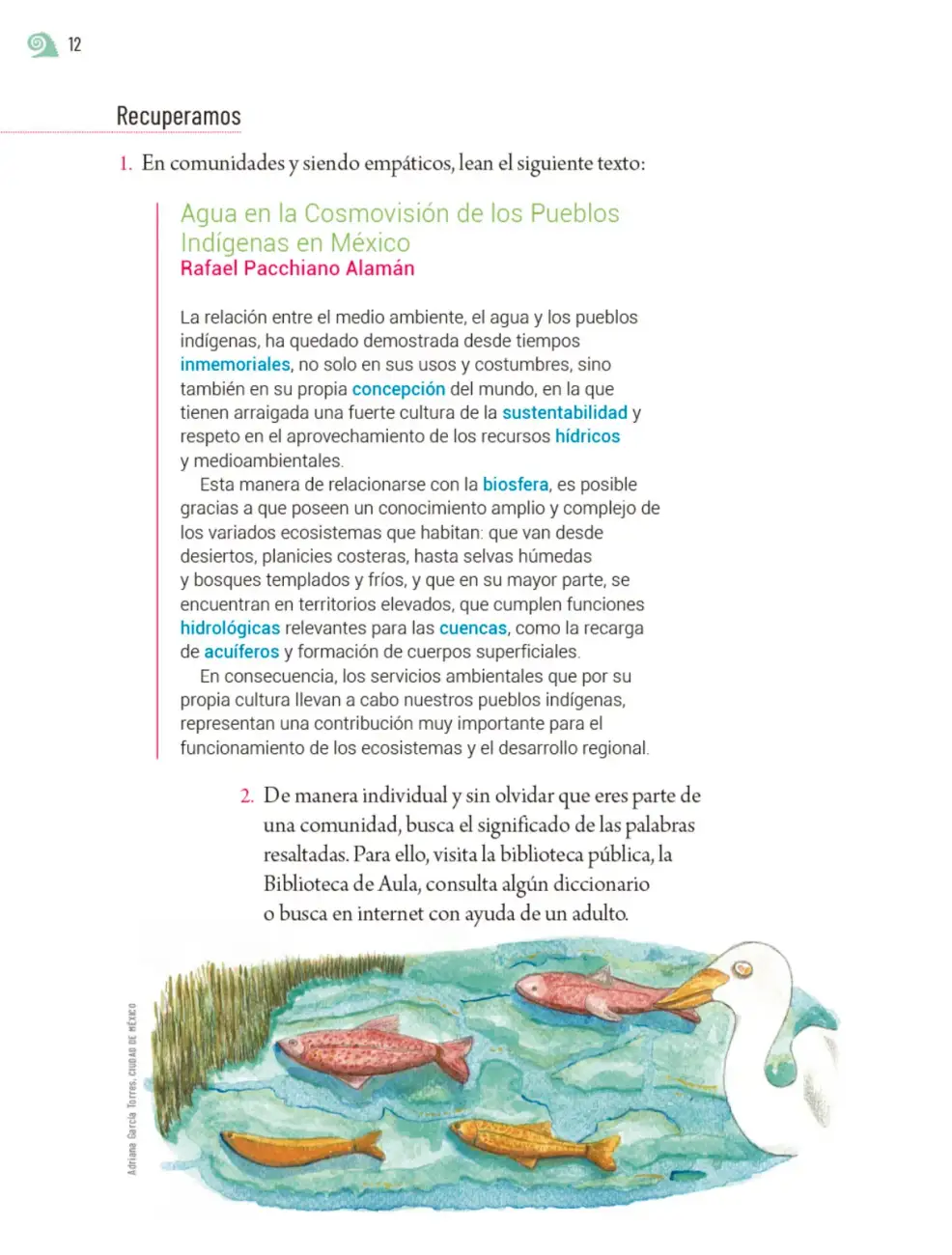 Página 15