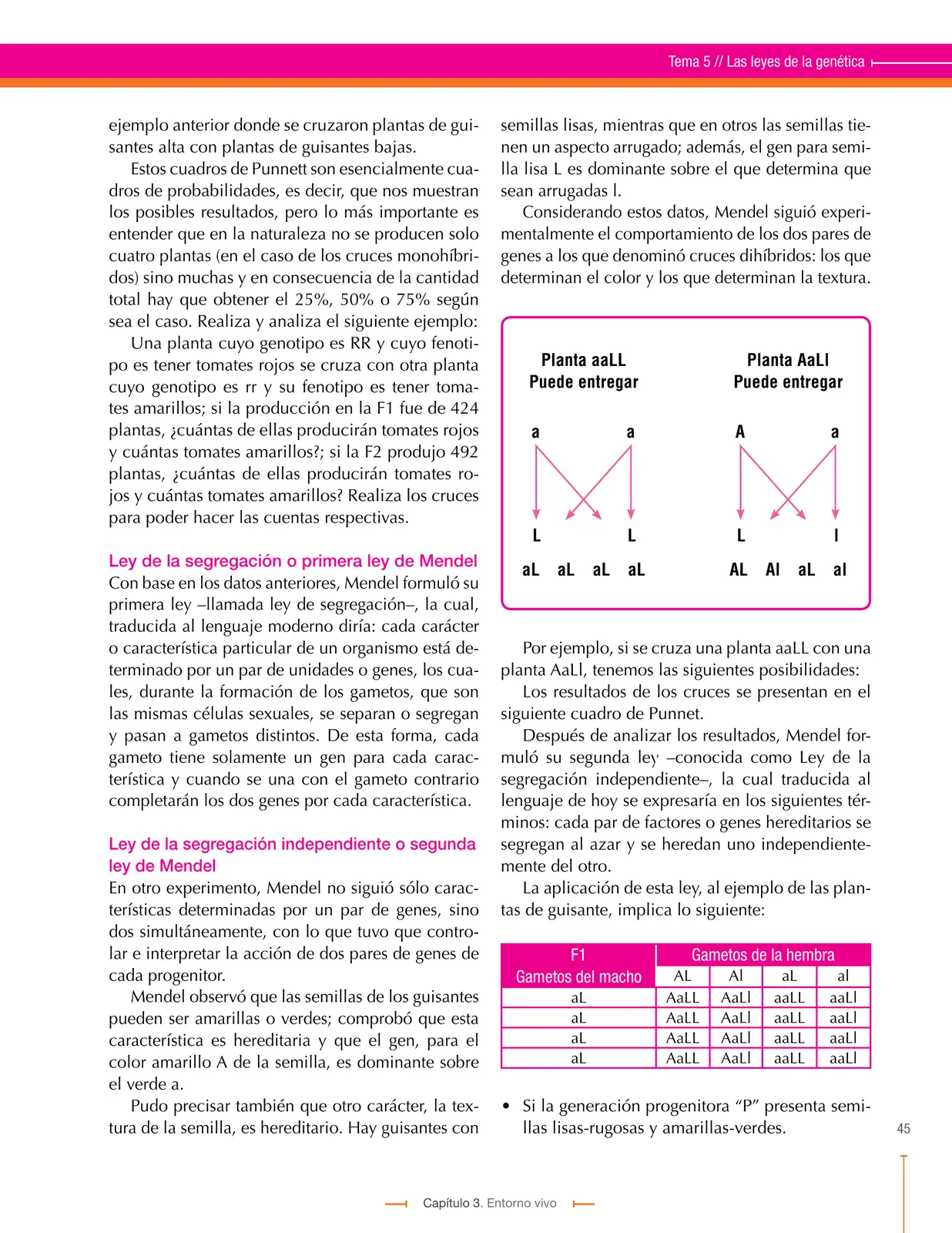 Miniatura página 45 de Ciencias Naturales 9° · Secundaria Activa