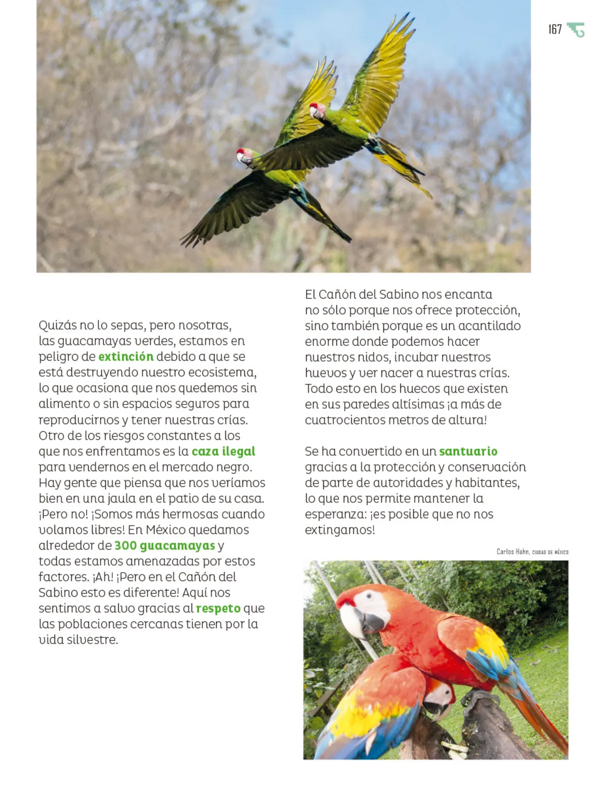 Página 168 de Múltiples lenguajes. Libro de Educación Primaria Grado 6° Ciclo Escolar 2025 - 2026