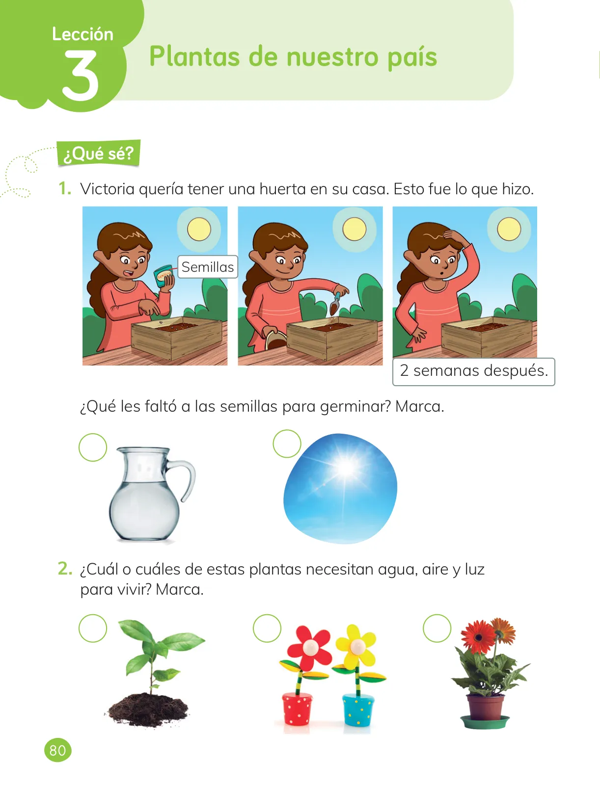 Miniatura página 82 de Ciencias Naturales – Primero Básico | Texto del Estudiante (MINEDUC) – Descargar PDF · 2024
