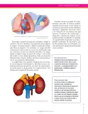 Miniatura página 31 de Ciencias Naturales 8° · Secundaria Activa