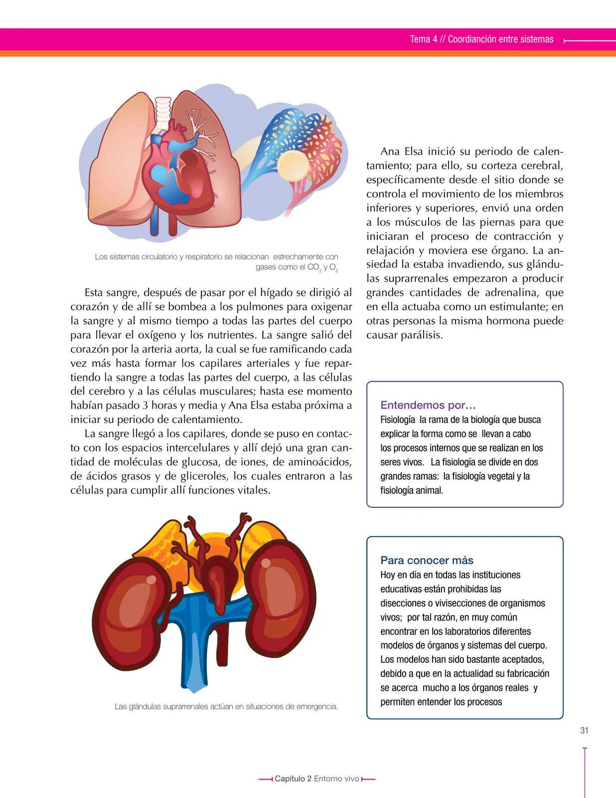 Miniatura página 31 de Ciencias Naturales 8° · Secundaria Activa