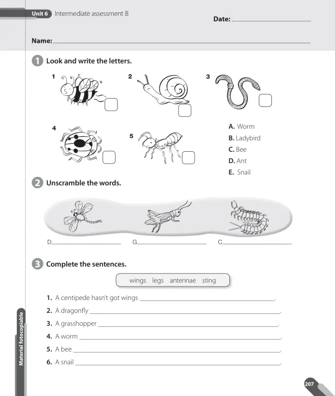 Página 71 de Inglés – Cuarto Básico | Texto del Estudiante MINEDUC – Descargar PDF · 2024