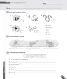 Miniatura página 71 de Inglés – Cuarto Básico | Texto del Estudiante MINEDUC – Descargar PDF · 2024