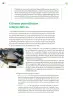 Miniatura página 17 de Colección Nanahuatzin. Lenguajes.   Libro de Educación Telesecundaria Grado 3°  Ciclo Escolar 2025 - 2026