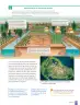 Miniatura página 139 de Historia, Geografía y Ciencias Sociales – Séptimo Básico | Texto del Estudiante MINEDUC – Descargar PDF · 2024