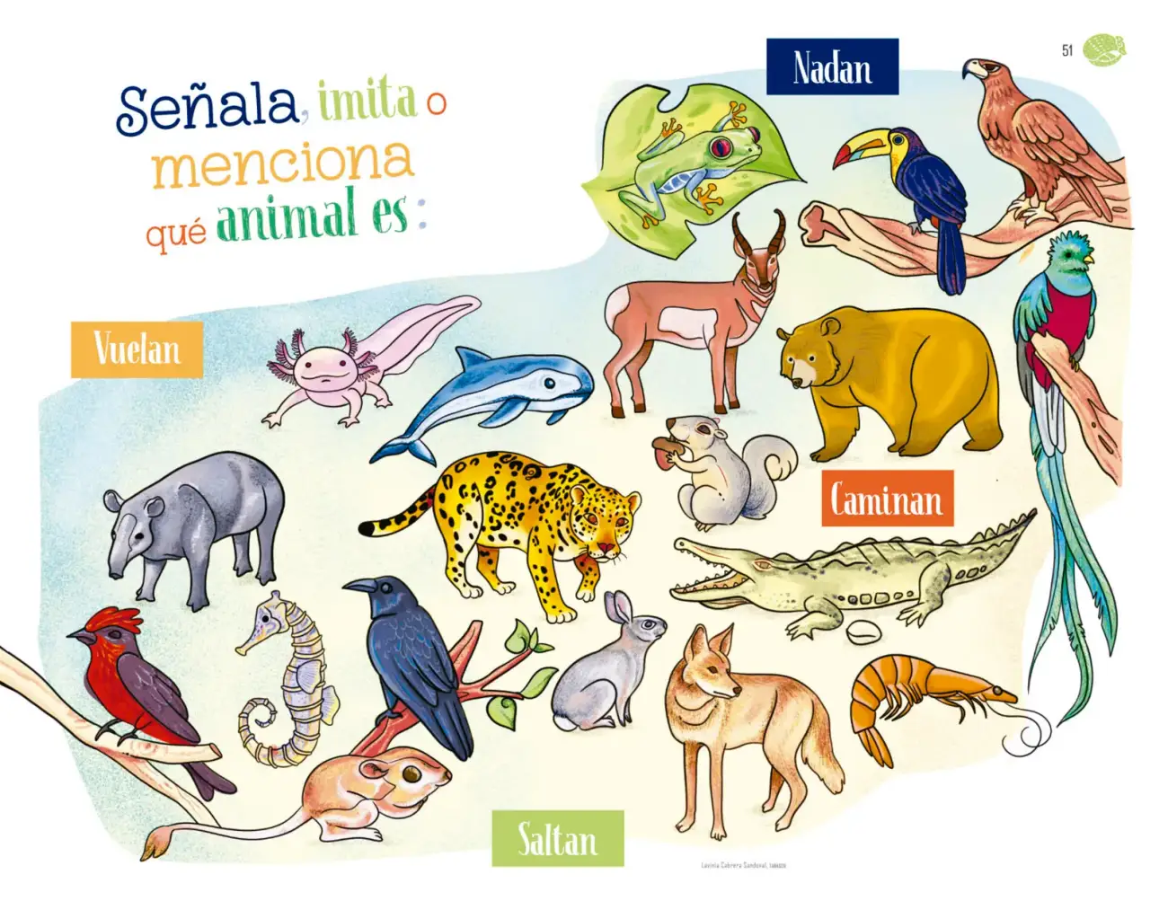 Página 52