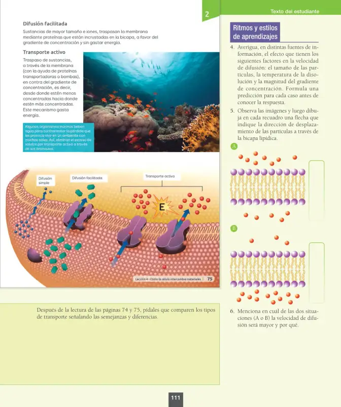 Página 112 de Ciencias Naturales – Octavo Básico | Texto del Estudiante MINEDUC – Descargar PDF · 2024