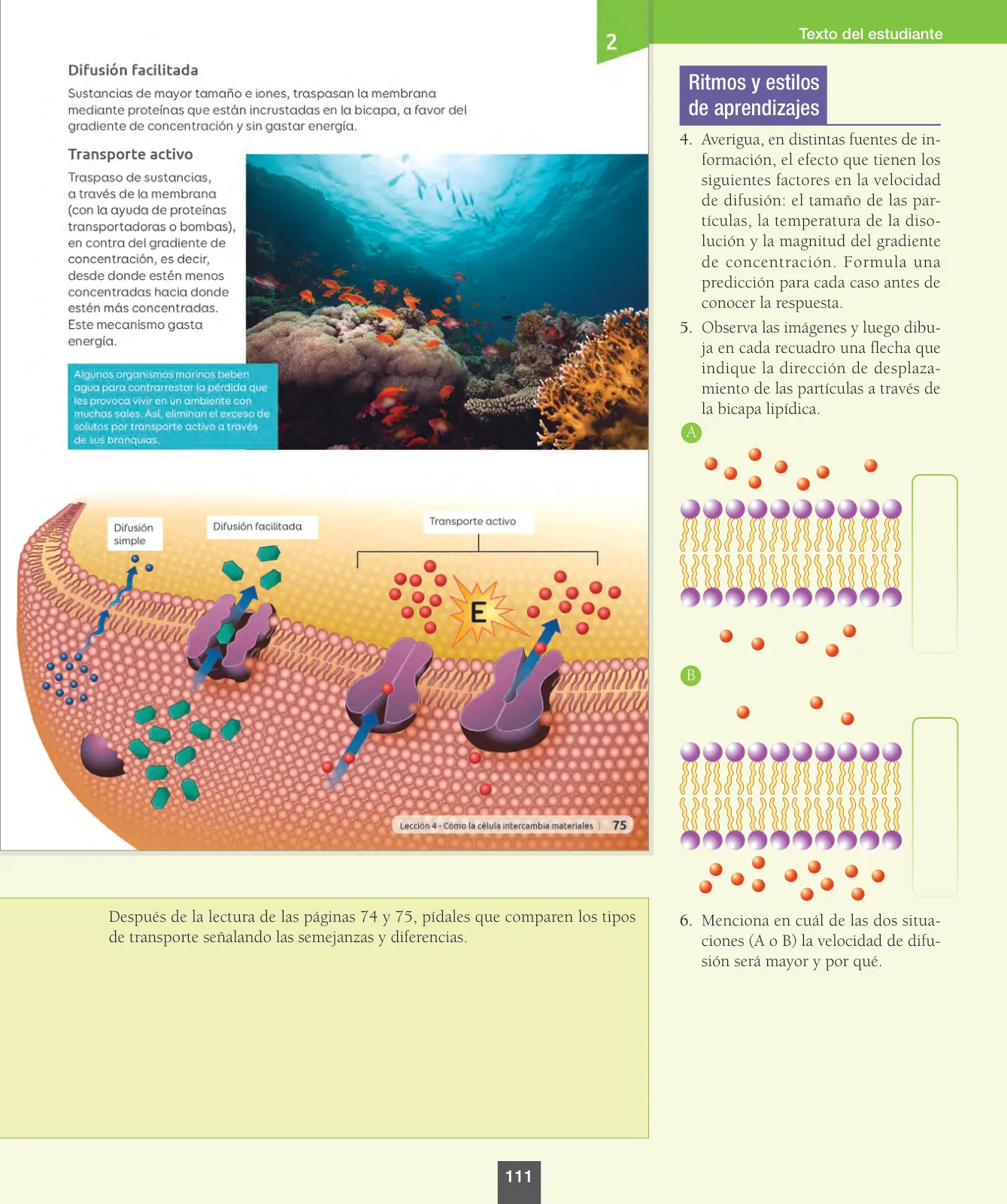 Miniatura página 112 de Ciencias Naturales – Octavo Básico | Texto del Estudiante MINEDUC – Descargar PDF · 2024
