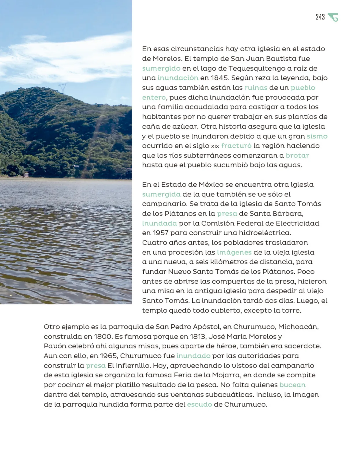 Página 244 de Múltiples lenguajes. Libro de Educación Primaria Grado 6° Ciclo Escolar 2025 - 2026