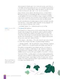 Miniatura página 26 de Lengua y Literatura – Octavo Básico | Texto del Estudiante MINEDUC – Descargar PDF · 2024
