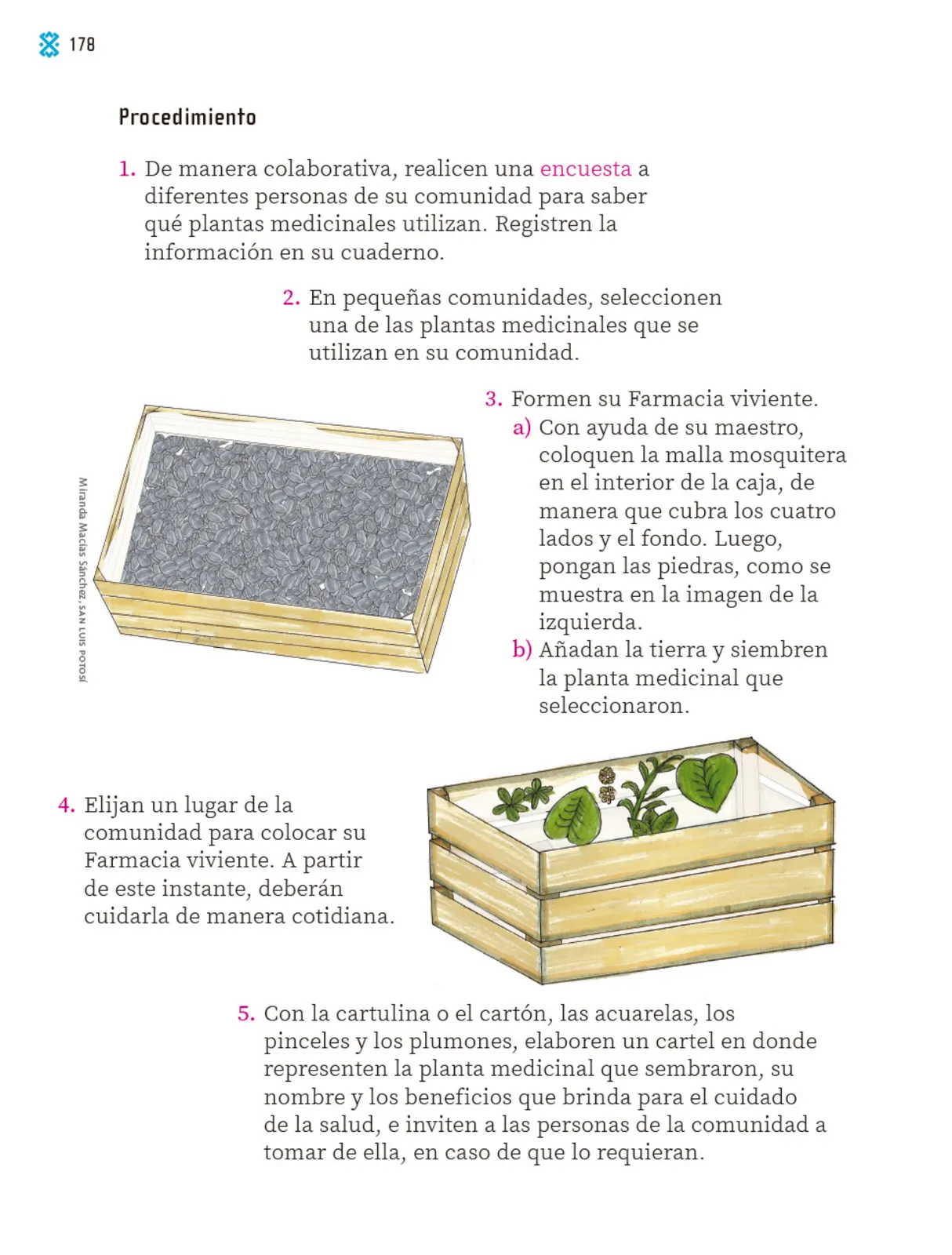 Miniatura página 179 de Proyectos Comunitarios.   Libro de Educación Primaria Grado 1°  Ciclo Escolar 2025 - 2026