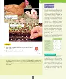 Miniatura página 82 de Ciencias Naturales – Primero Básico | Texto del Estudiante (MINEDUC) – Descargar PDF · 2024