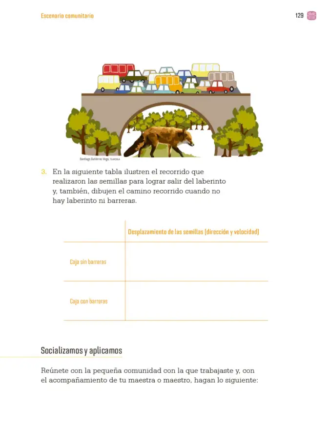 Página 132 de Proyectos Comunitarios. Libro de Educación Primaria Grado 3° Ciclo Escolar 2025 - 2026