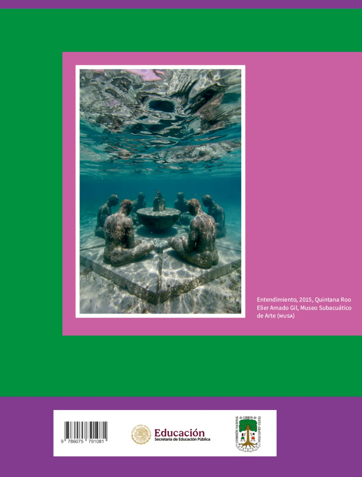 Página 339 de Colección Ximhai. Saberes y pensamiento científico. Libro de Educación Telesecundaria Grado 1° Ciclo Escolar 2025 - 2026