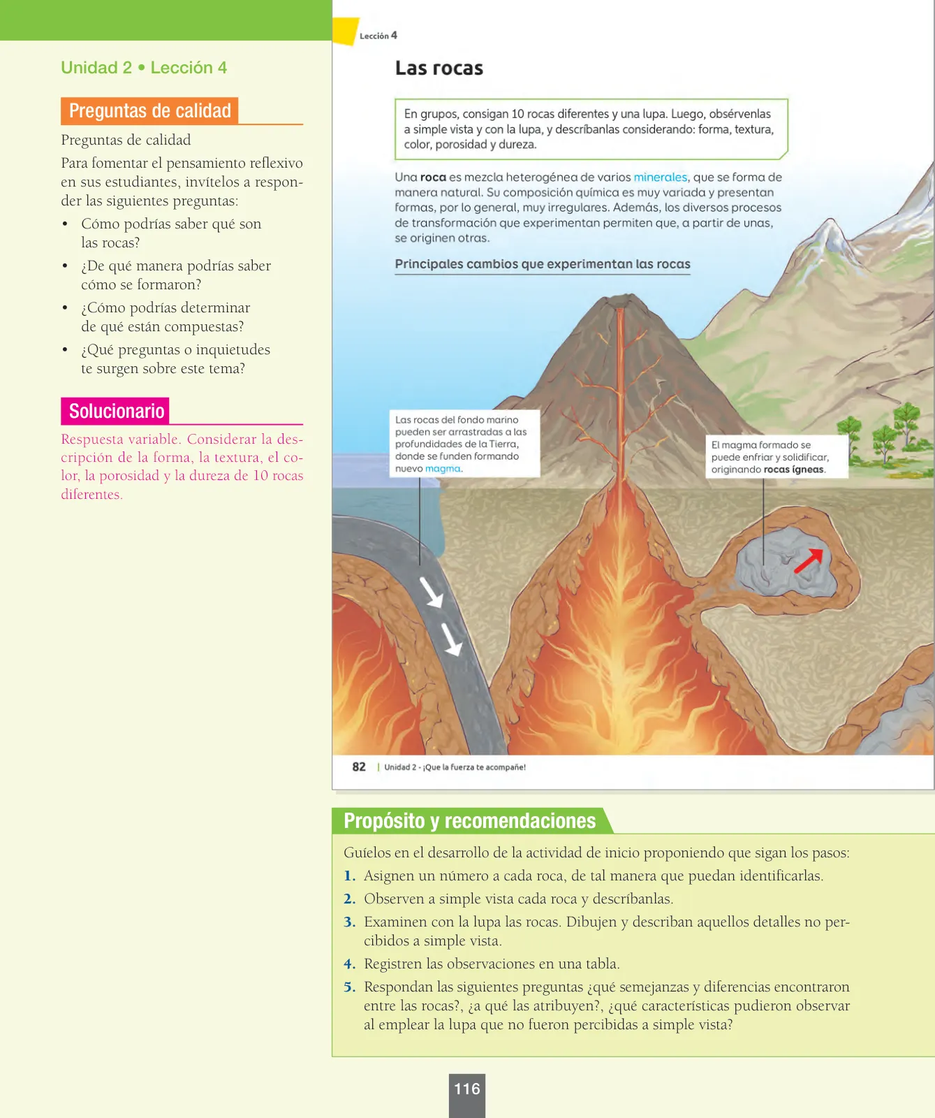 Página 117 de Ciencias Naturales – Séptimo Básico | Texto del Estudiante MINEDUC – Descargar PDF · 2024