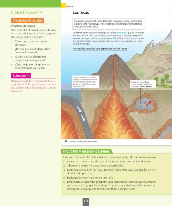 Página 117 de Ciencias Naturales – Séptimo Básico | Texto del Estudiante MINEDUC – Descargar PDF · 2024