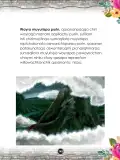 Miniatura página 145 de Llaqtanchikpa kawsayninkuna - Chanka. Saberes de los pueblos 1 - 1° Secundaria - Quechua chanka · 2023