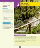Miniatura página 11 de Ciencias Naturales – Séptimo Básico | Texto del Estudiante MINEDUC – Descargar PDF · 2024