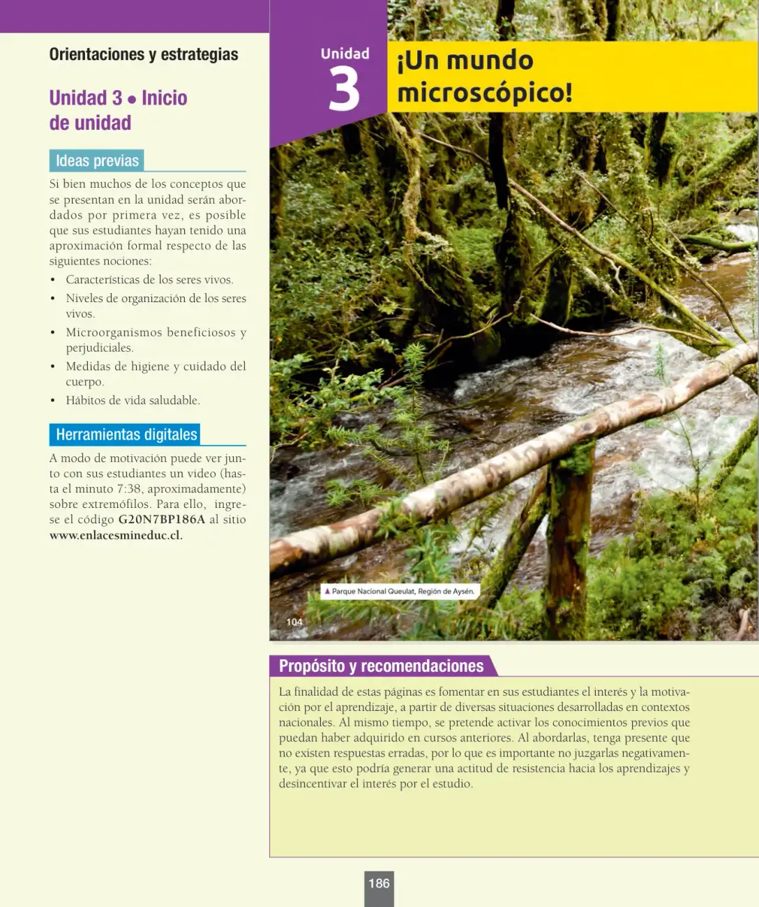 Página 11