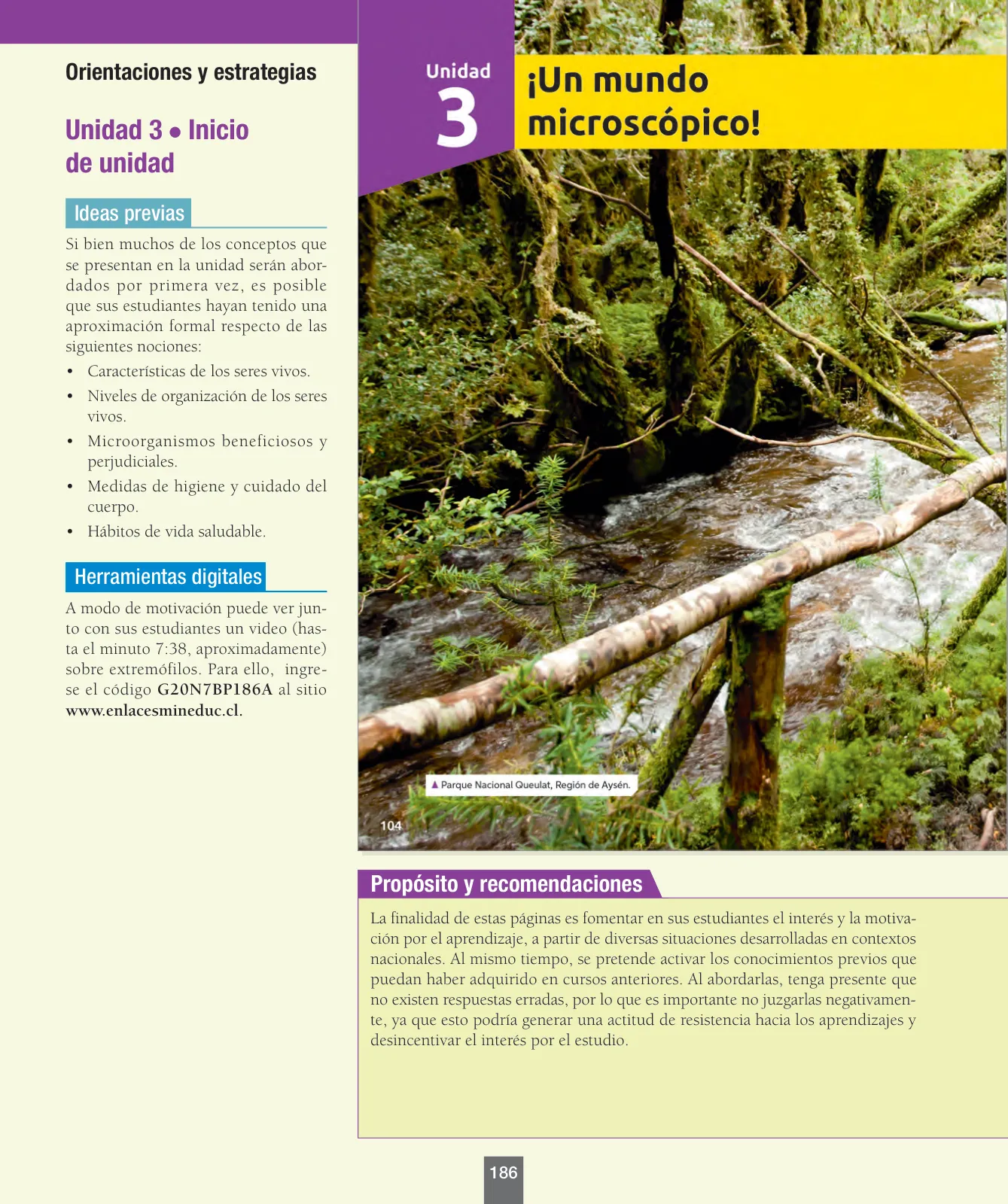 Pág 11
