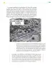 Miniatura página 178 de Colección Nanahuatzin. Ética, naturaleza y sociedades.   Libro de Educación Telesecundaria Grado 3°  Ciclo Escolar 2025 - 2026