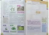 Miniatura página 9 de Ciencias Naturales 3° · Egb 3 Ciencias Naturales 2024 · 2024