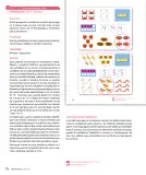 Miniatura página 26 de Sumo Primero – Primero Básico | Texto del Estudiante (MINEDUC) – Descargar PDF · 2024