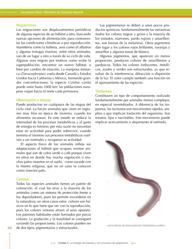 Página 252 de Ciencias Naturales 9° · Secundaria Activa