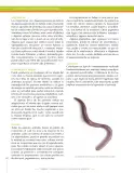 Miniatura página 252 de Ciencias Naturales 9° · Secundaria Activa