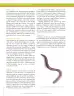 Miniatura página 252 de Ciencias Naturales 9° · Secundaria Activa